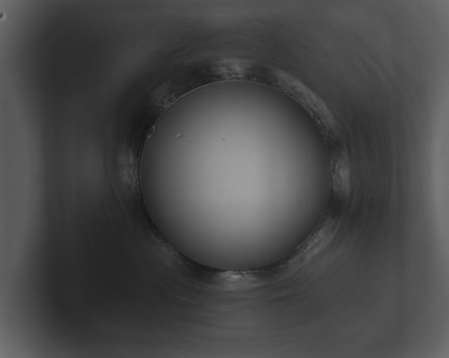 X0000103150477200808291433