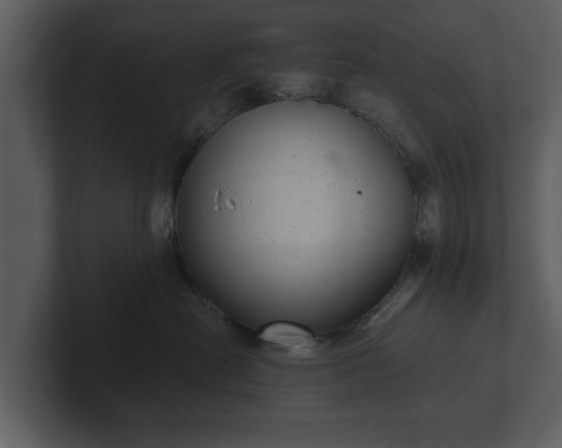 X0000103150478200808291433