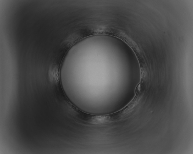 X0000103150479200808291433