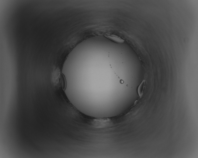 X0000103150480200808291433