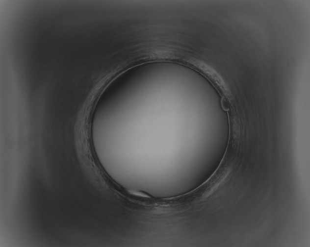 X0000103150481200808291433