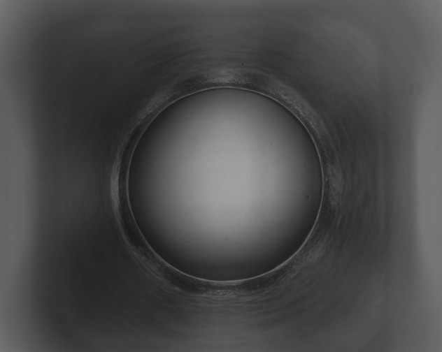 X0000103150482200808291433