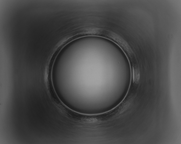 X0000103150483200808291433