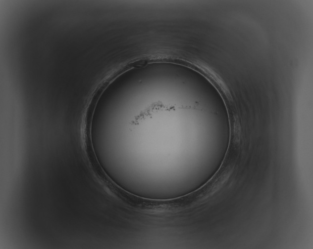 X0000103150485200808291433