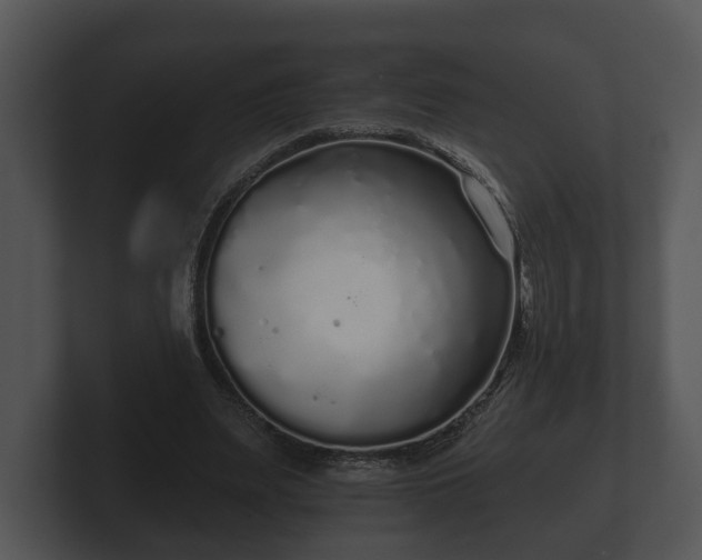 X0000103150487200808291433