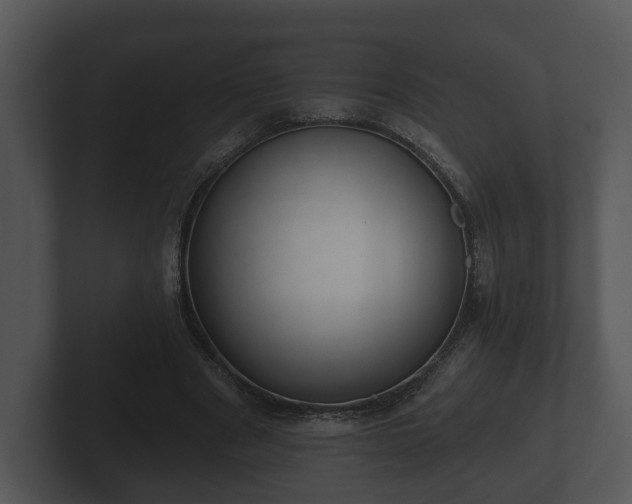 X0000103150489200808291433