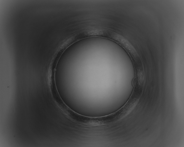 X0000103150490200808291433