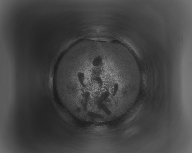 X0000103150491200808291433