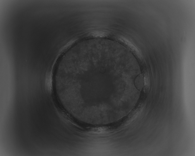 X0000103150492200808291433