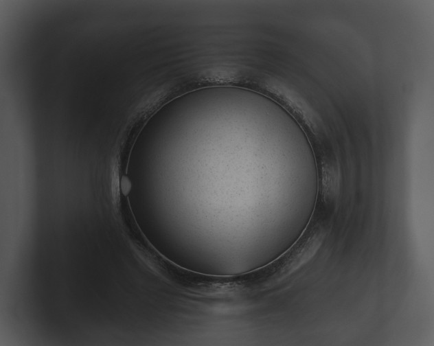 X0000103150493200808291433