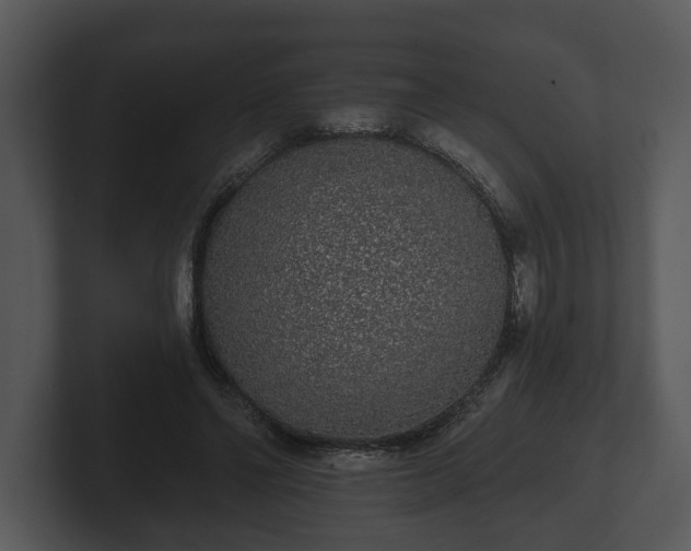 X0000103150494200808291433