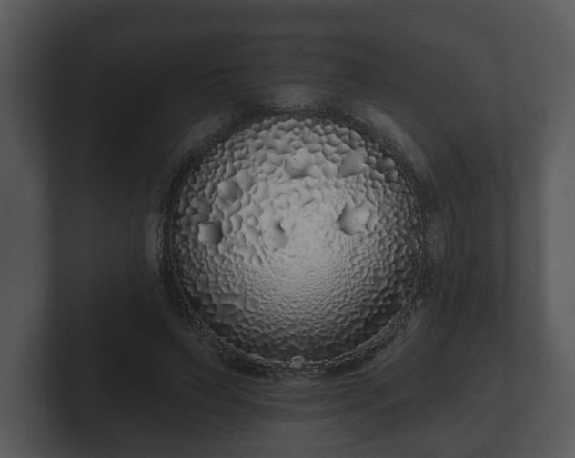 X0000103150495200808291433