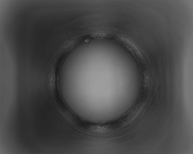 X0000103150498200808291433