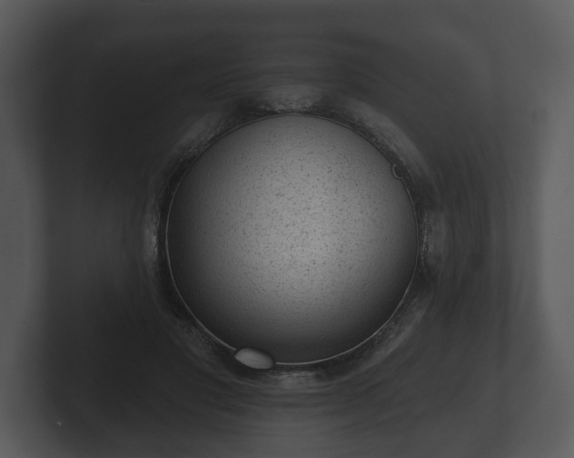 X0000103150501200808291433