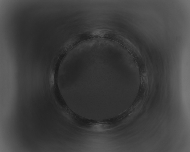 X0000103150504200808291433