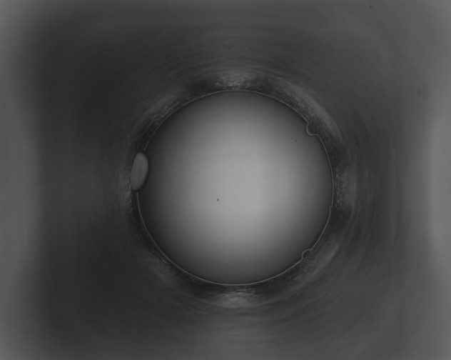 X0000103150505200808291433