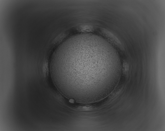 X0000103150506200808291432