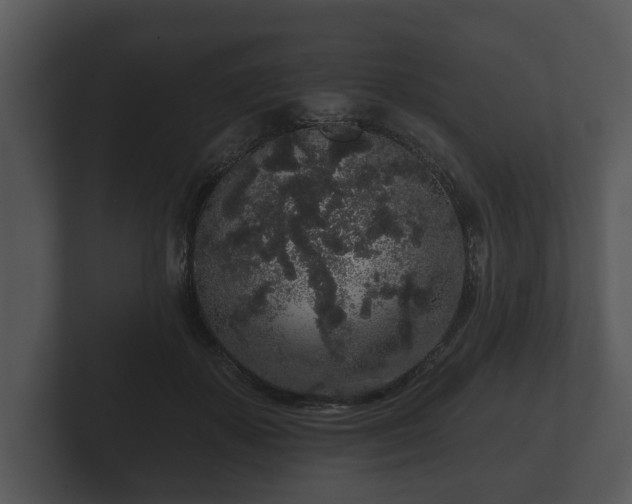 X0000103150507200808291432