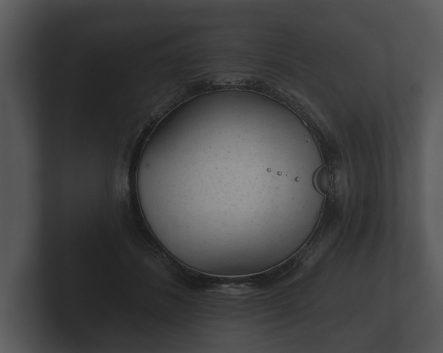 X0000103150508200808291432