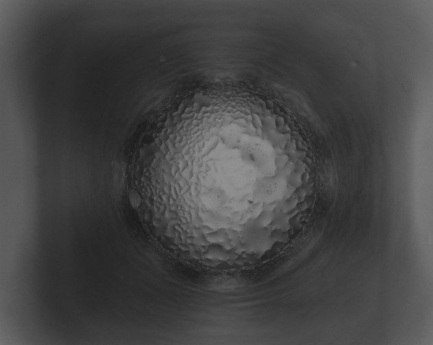 X0000103150511200808291432