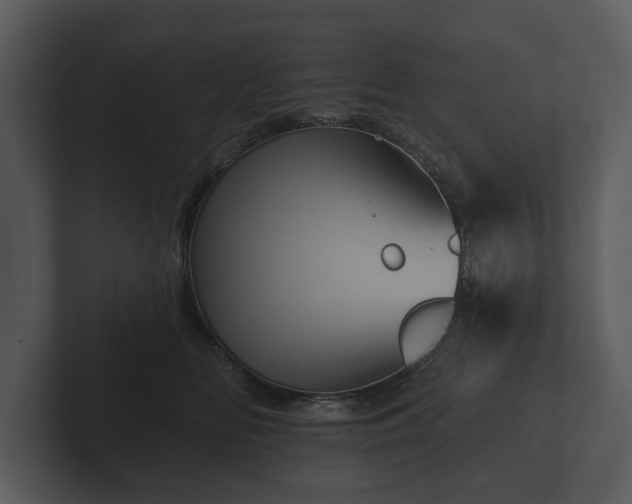 X0000103150518200808291432