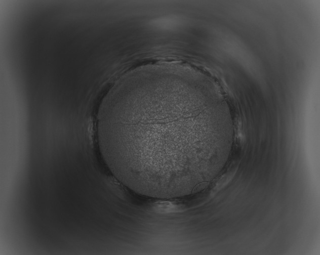 X0000103150519200808291432