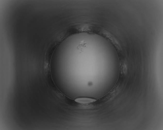 X0000103150521200808291432