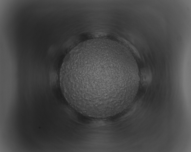 X0000103150523200808291432