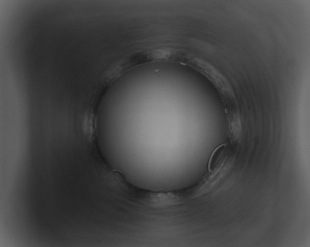 X0000103150525200808291432