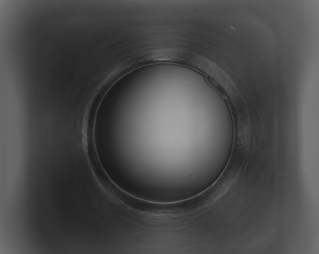 X0000103150530200808291432