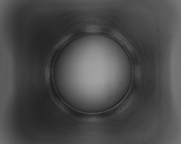 X0000103150533200808291432