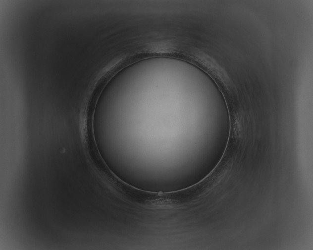 X0000103150535200808291432