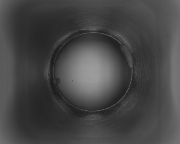 X0000103150536200808291432