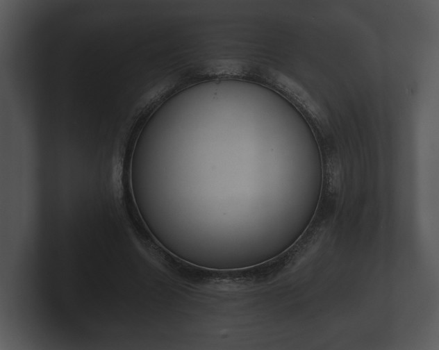 X0000103150538200808291432