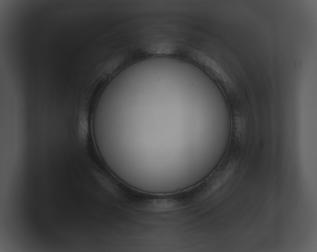 X0000103150541200808291432