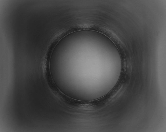 X0000103150544200808291432