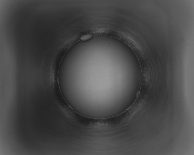 X0000103150546200808291432