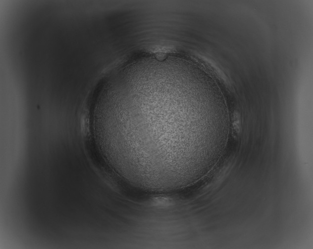 X0000103150547200808291432