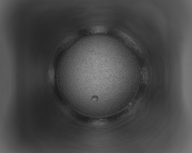 X0000103150550200808291432