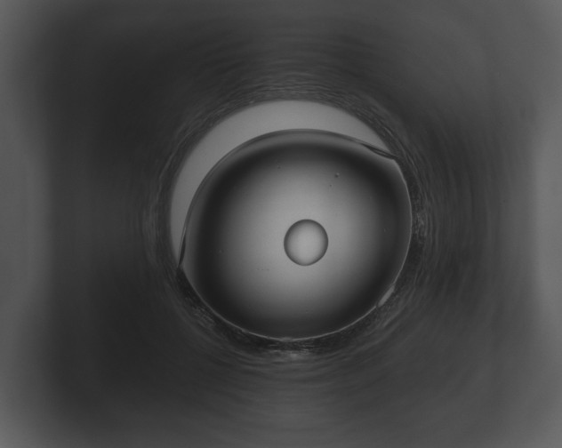 X0000103150552200808291432