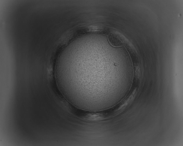 X0000103150557200808291432