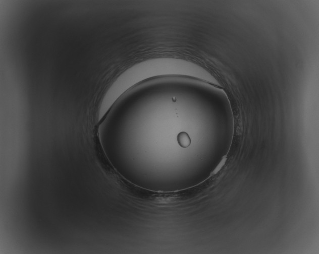 X0000103150560200808291432