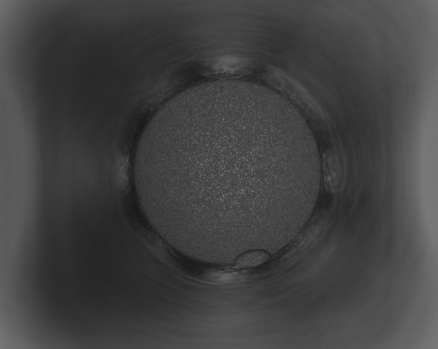 X0000103150563200808291432