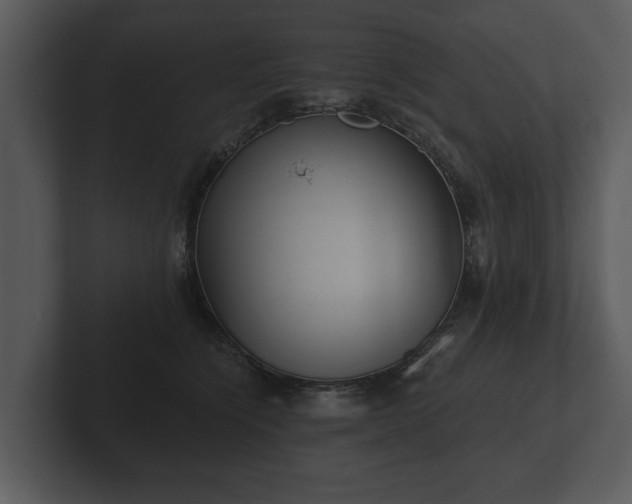 X0000103150564200808291432