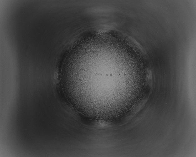 X0000103150565200808291432