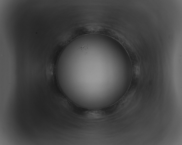 X0000103150567200808291432