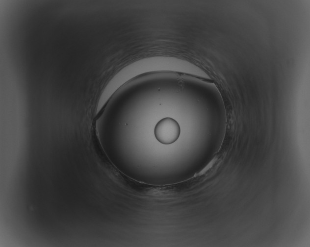 X0000103150568200808291432