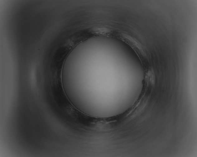 X0000103150572200808291432