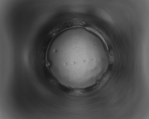 X0000103150573200808291432