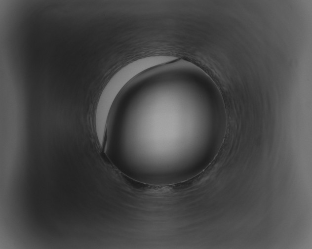 X0000103150576200808291432